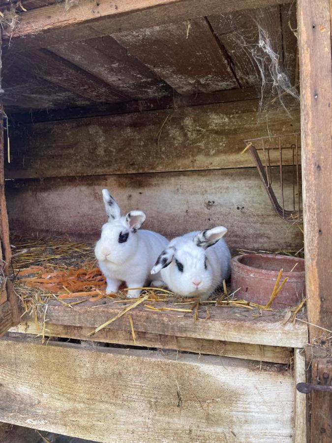 Апартаменты La Ferme De Marie Rangen Экстерьер фото