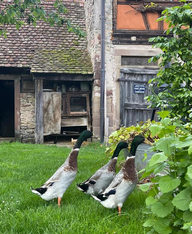 Апартаменты La Ferme De Marie Rangen Экстерьер фото