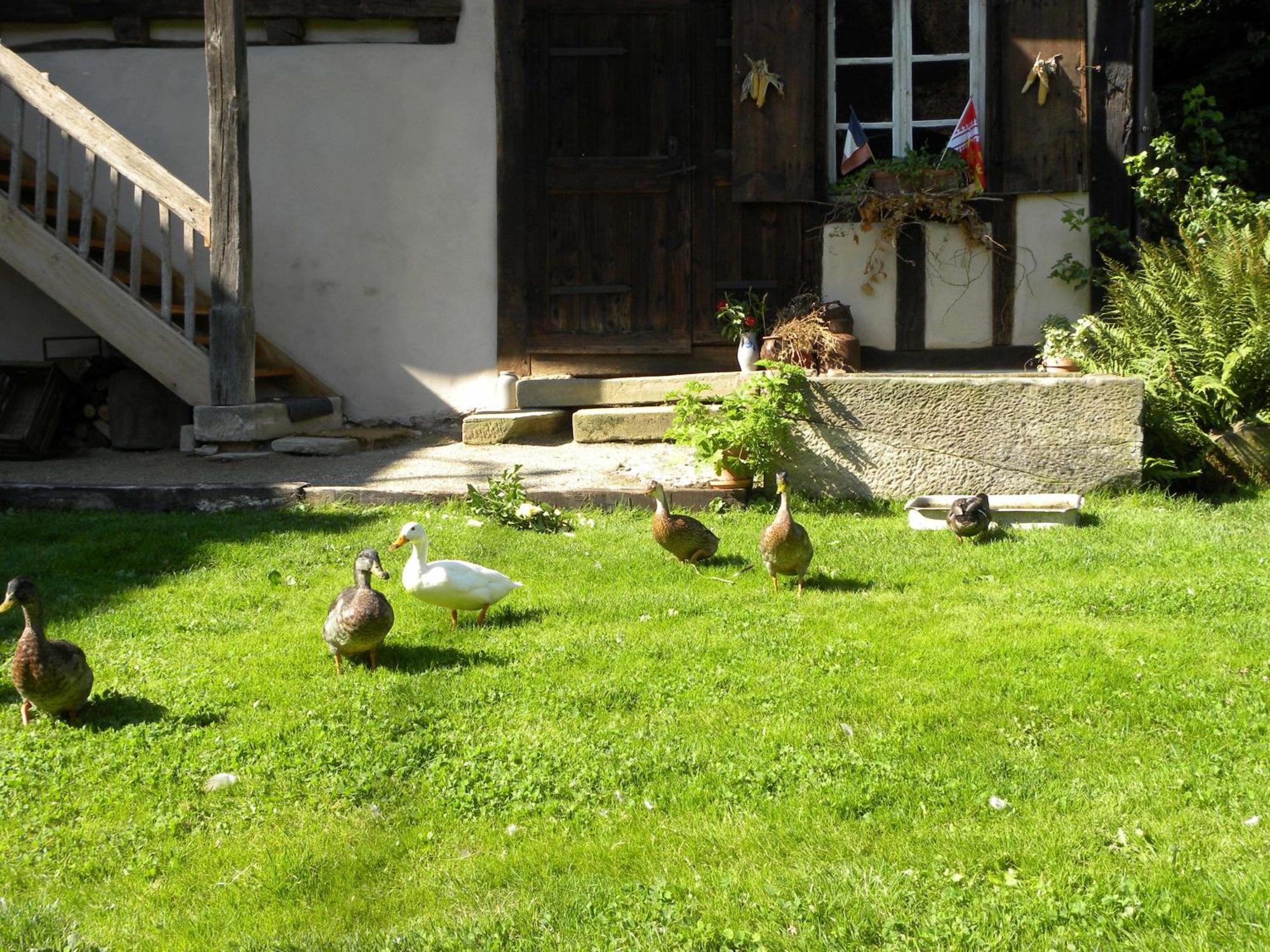 Апартаменты La Ferme De Marie Rangen Экстерьер фото